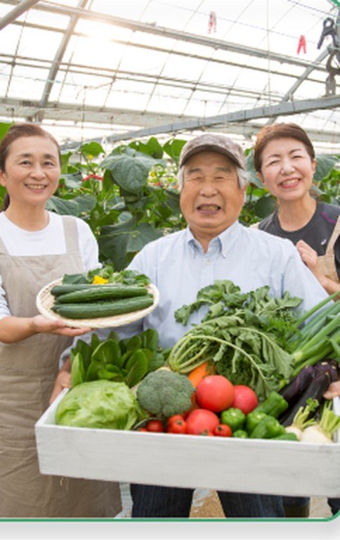 ビニールハウスで収穫した野菜を持つ生産者